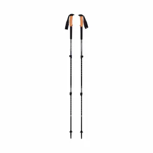 Black Diamond Trail Cork Trekking Poles