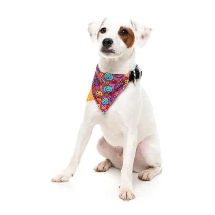 Fuzzyard Oh My Gourd! Dog Bandana Bowtie 2 Pack Small