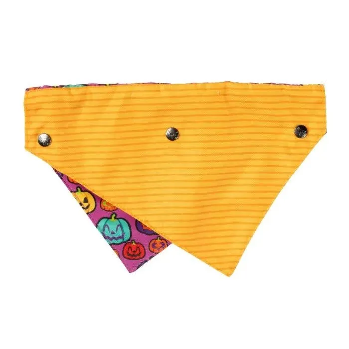 Fuzzyard Oh My Gourd! Dog Bandana Bowtie 2 Pack Small