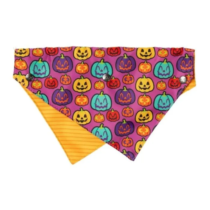 Fuzzyard Oh My Gourd! Dog Bandana Bowtie 2 Pack Small